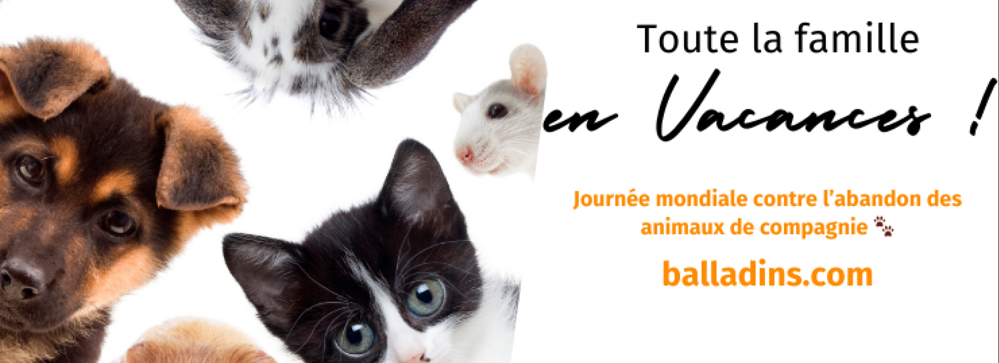 Journée Mondiale de Lutte contre les Abandons d'Animaux de Compagnie