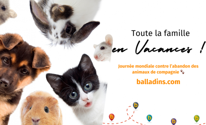Journée Mondiale de Lutte contre les Abandons d'Animaux de Compagnie