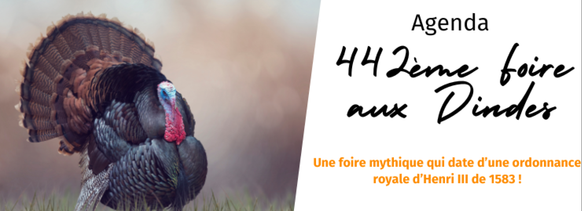 Foire aux dindes