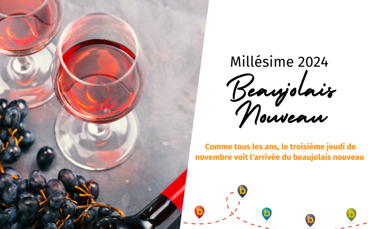 Millésime 2024 - Beaujolais nouveau
