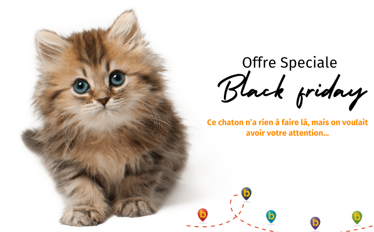 Black Friday - Special offer