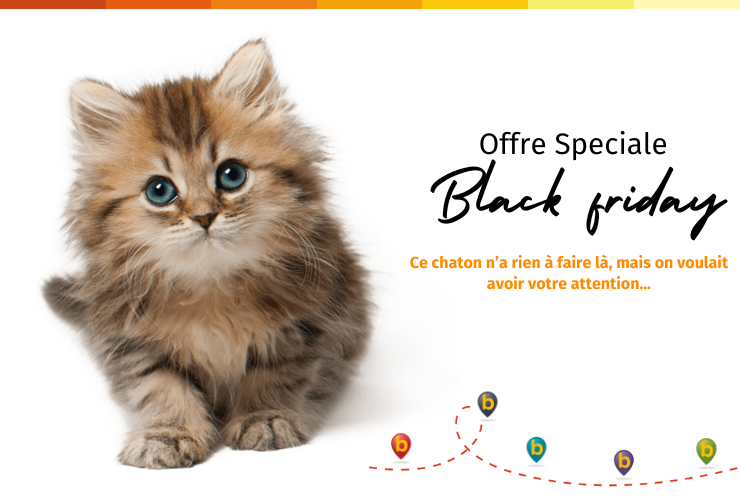 Black Friday - Special offer