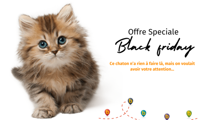 Black Friday - Special offer