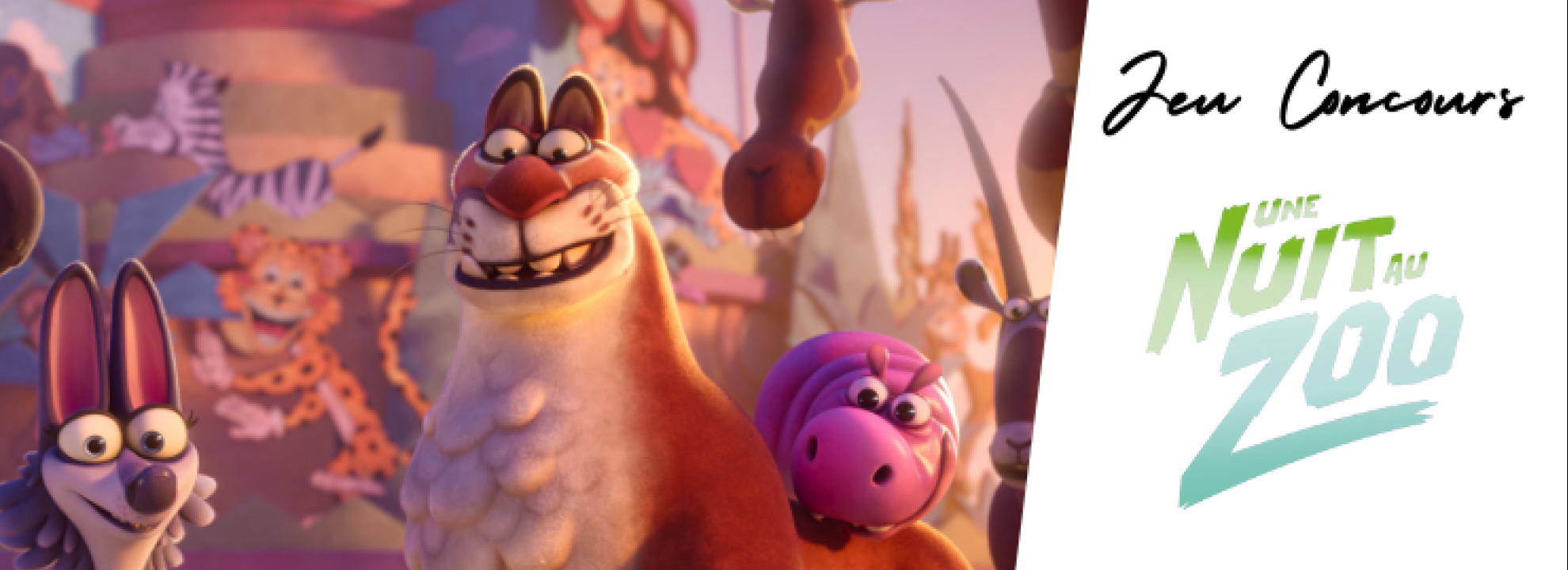 Une nuit au zoo - nouveau Jeu Concours