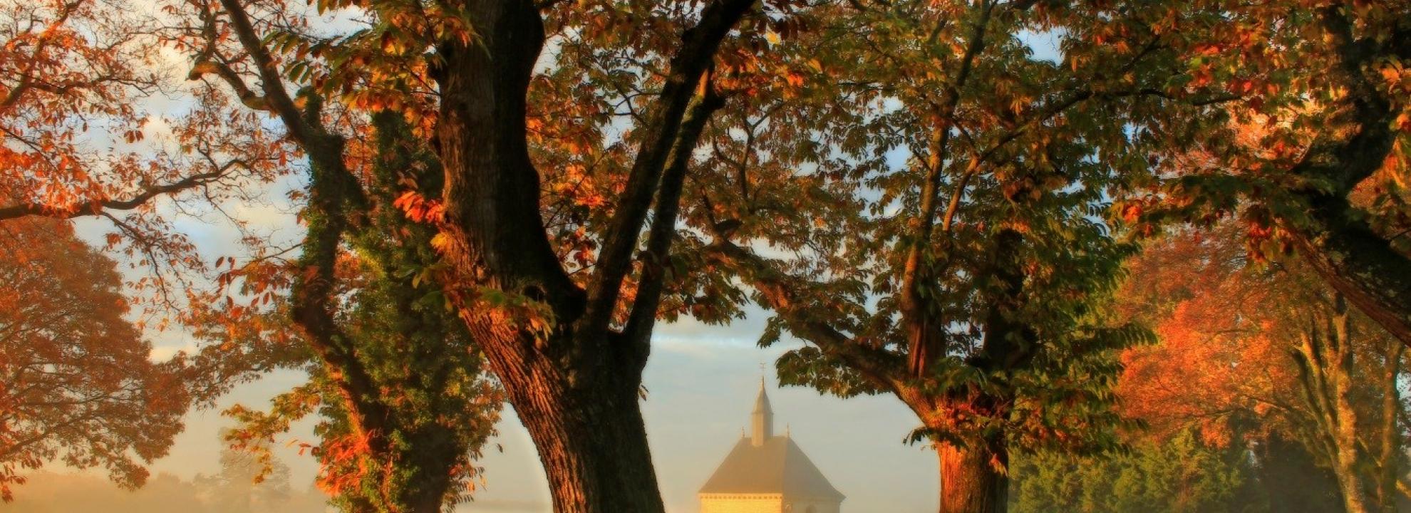 Quand Vient La Fin De L Ete