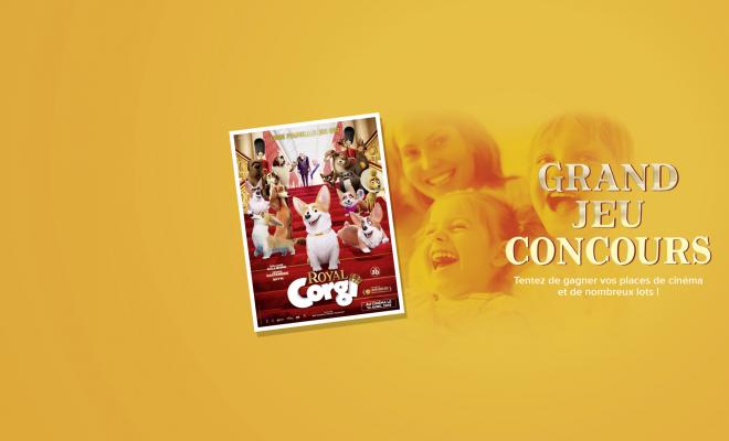 025-2019-13-corgi-1920x1280-site