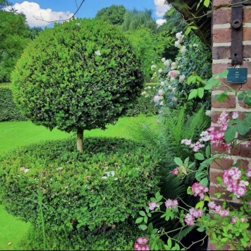 Jardin du Plessis Sasnières