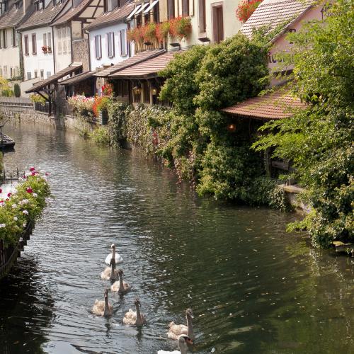 La Petite Venise et la Vieille Ville de Colmar La Petite Venise et la Vieille Ville de Colmar