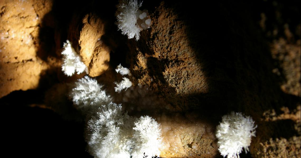 Des Fleurs d'aragonite