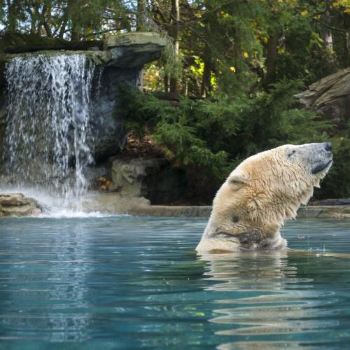 Zoo de La Flèche