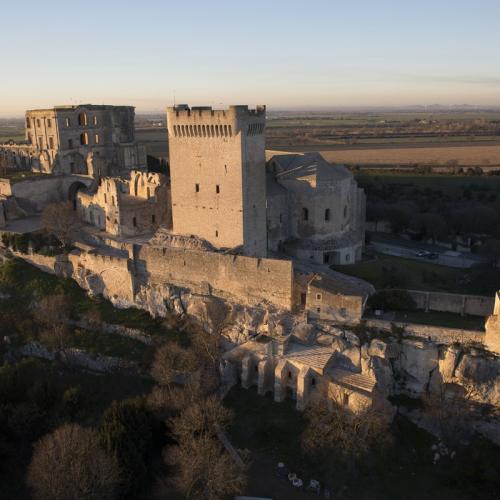 Abbaye de Montmajour