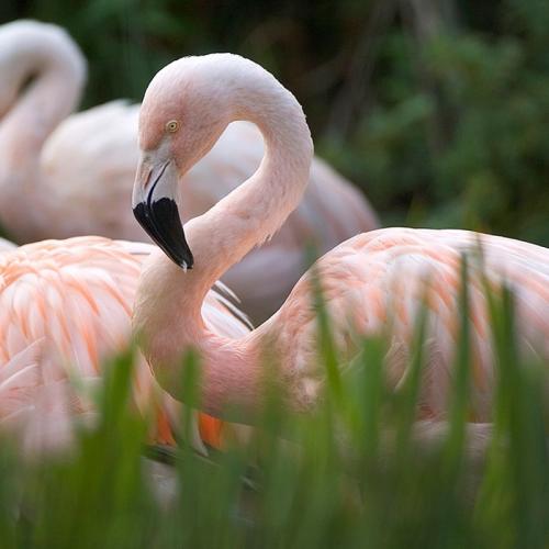 Zoo des Sables-d’Olonne