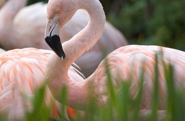 Zoo des Sables d'Olonne