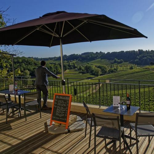 Visite guidée et dégustation de vin au Château La Croizille