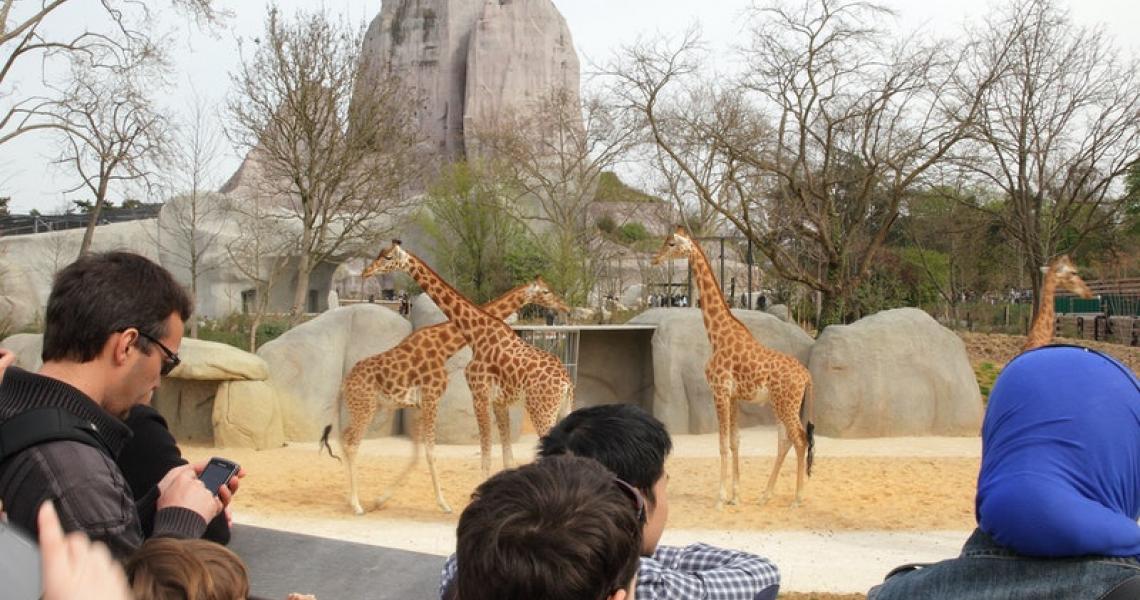 Zoo de Vincennes 2