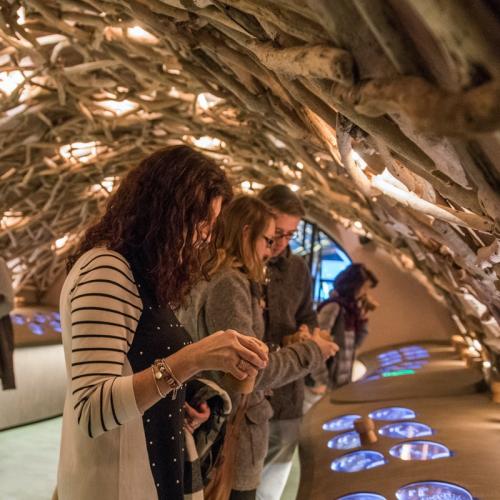 Découverte viticole dans les caves royales