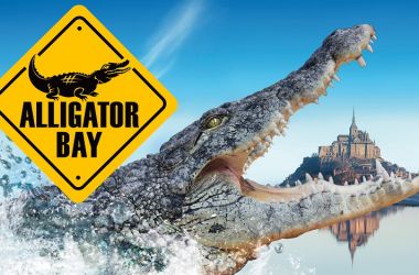 Beauvoir-alligator-baie--5-